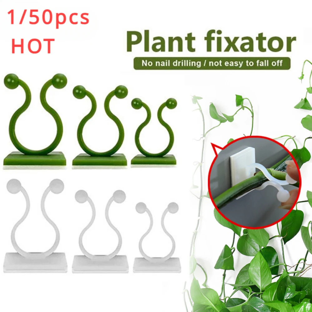 Outdoor Lighting Amazon - 1/30/50Pcs For Garden Accsesories Plant Garden