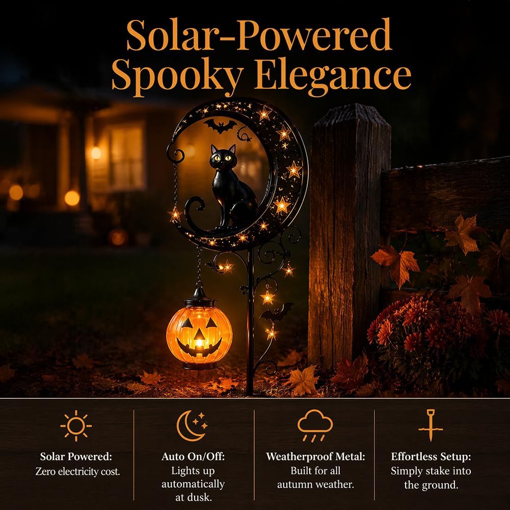 Solar Halloween Black Cat & Pu - Outdoor Lighting Halloween recension och pris