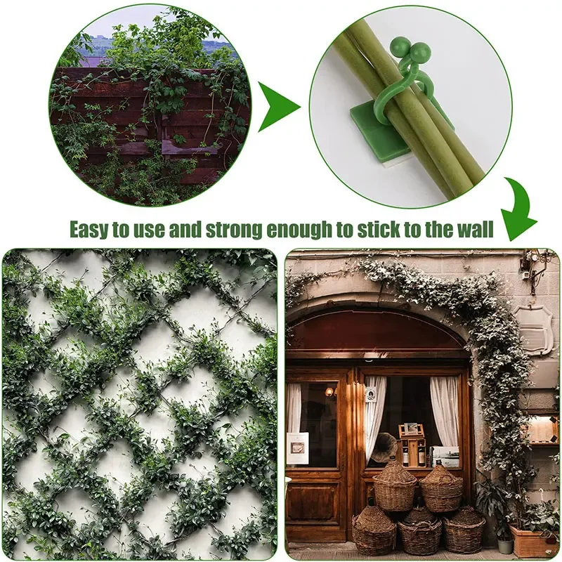 1/30/50Pcs For Garden Accsesor - Outdoor Lighting Amazon recension och pris