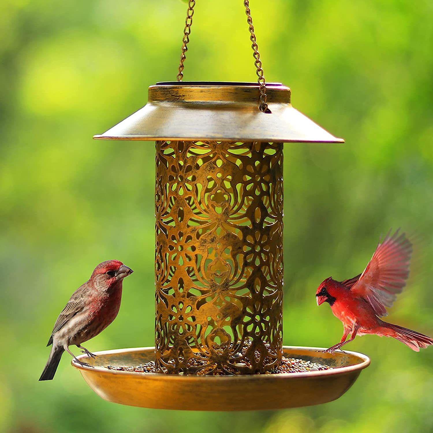 Hanging Bird House Metal Outdo - Outdoor Lighting Backyard Ideas recension och pris